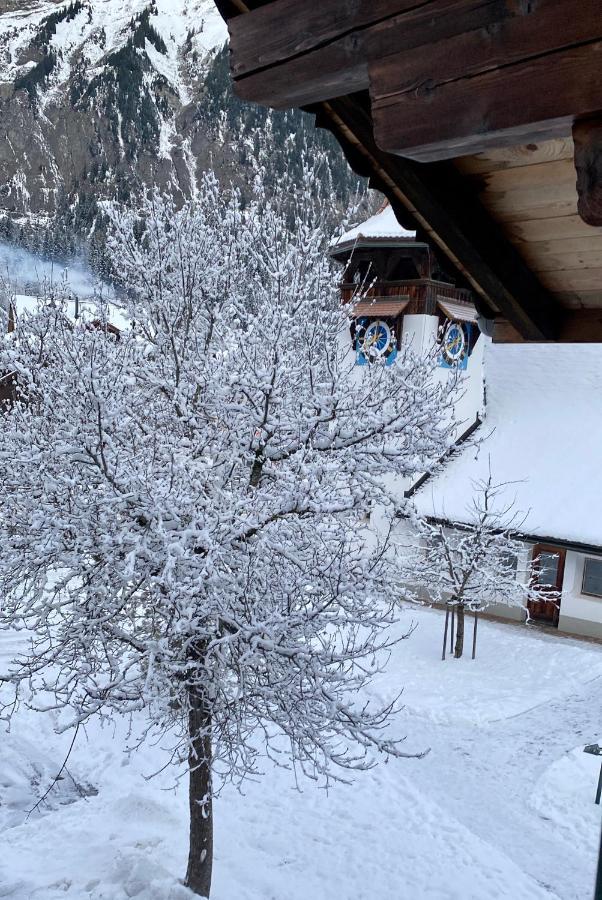 Familienferien Im Chalet Baergli Kandersteg Exteriör bild